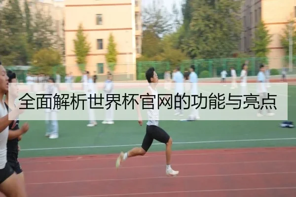 全面解析世界杯官网的功能与亮点