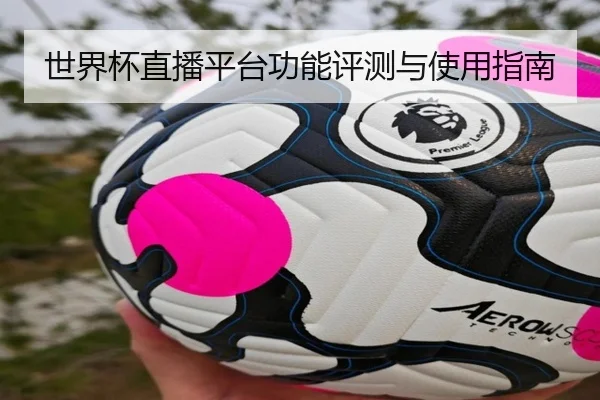 世界杯直播平台功能评测与使用指南