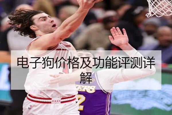电子狗价格及功能评测详解