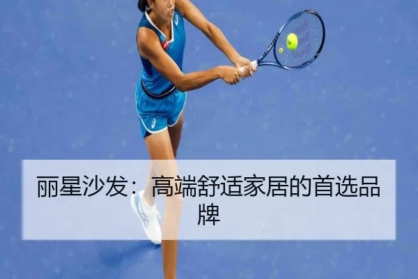 丽星沙发：高端舒适家居的首选品牌