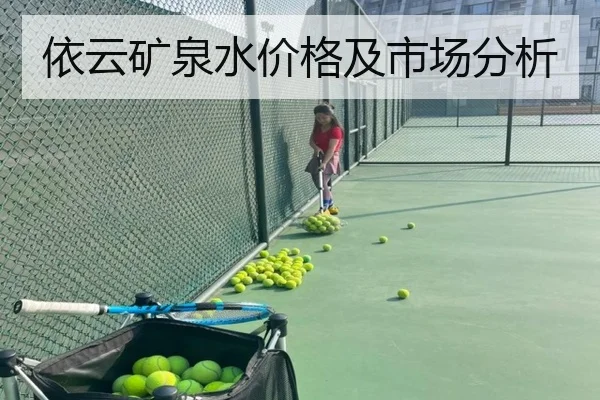 依云矿泉水价格及市场分析