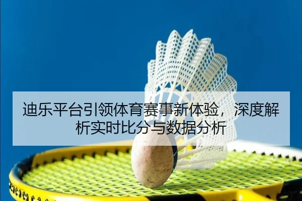 迪乐平台引领体育赛事新体验，深度解析实时比分与数据分析