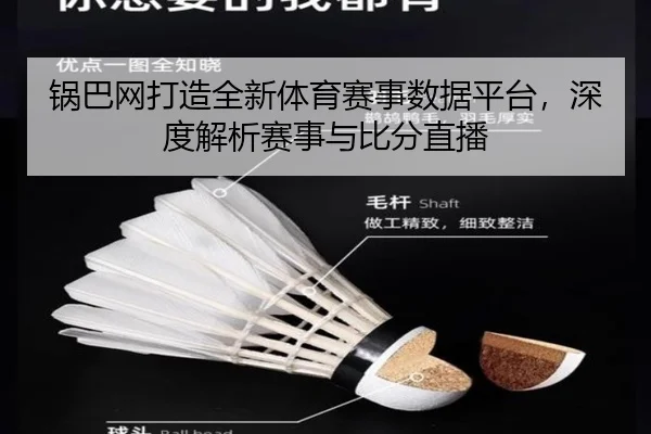 锅巴网打造全新体育赛事数据平台，深度解析赛事与比分直播